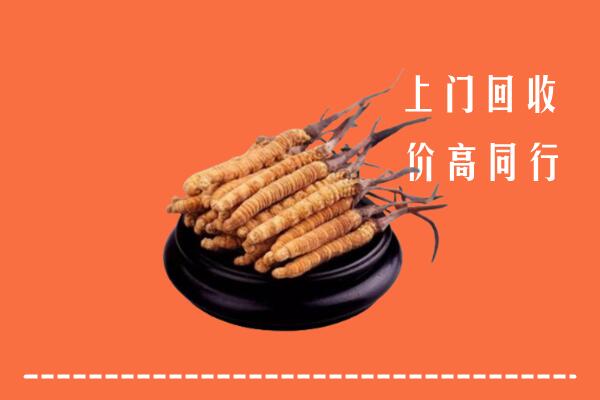 附近收购：赞皇冬虫夏草回收多少钱每克