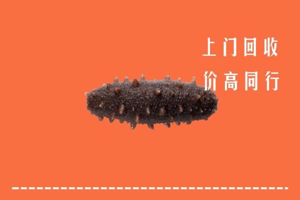 附近收购：赞皇回收海参